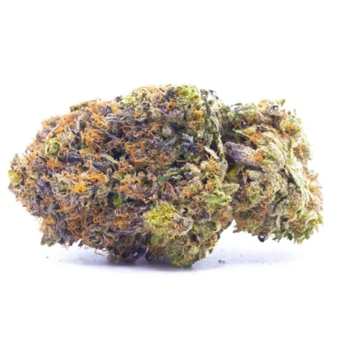Pink Blueberry